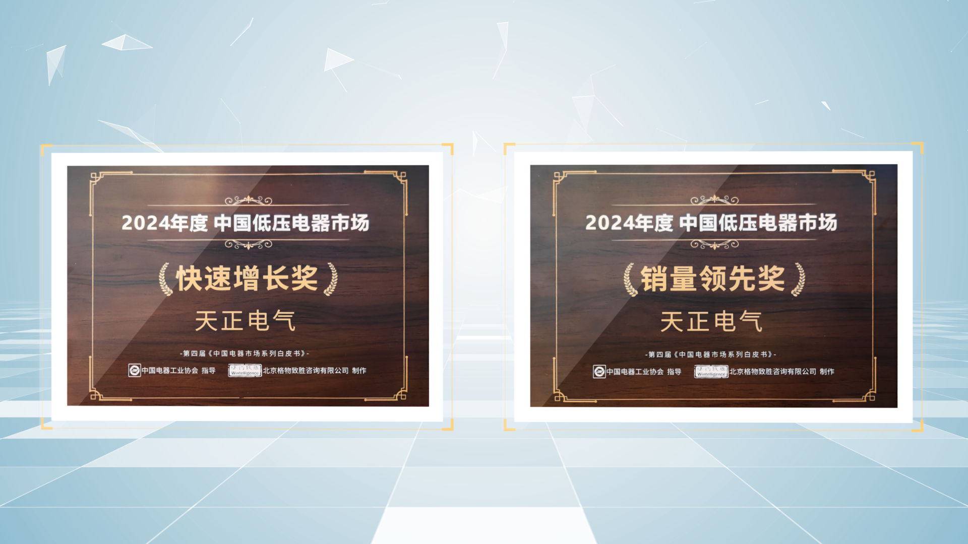 销量领先、快速增长丨pg电子官网入口荣膺2项行业年度大奖